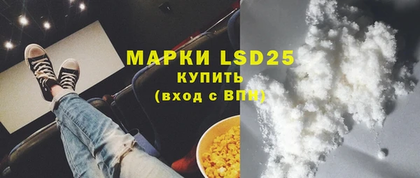 прущие грибы Абаза