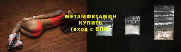 прущие грибы Абаза