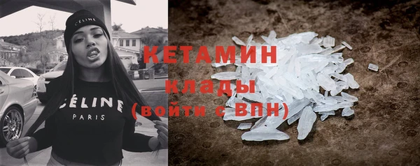 прущие грибы Абаза
